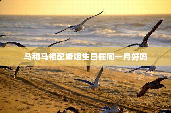 马和马相配婚姻生日在同一月好吗