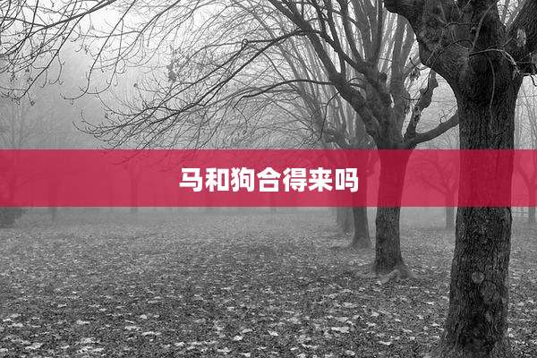 马和狗合得来吗