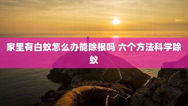 家里有白蚁怎么办能除根吗 六个方法科学除蚁
