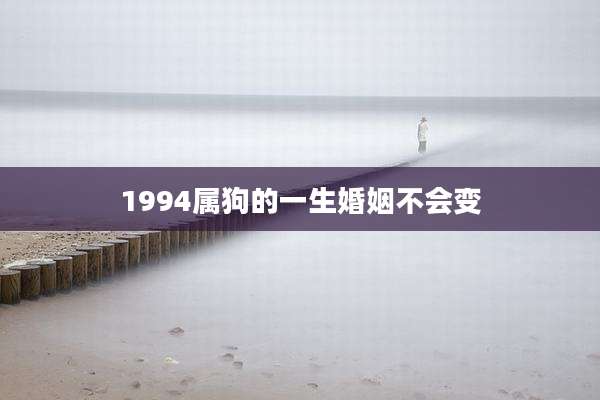 1994属狗的一生婚姻不会变