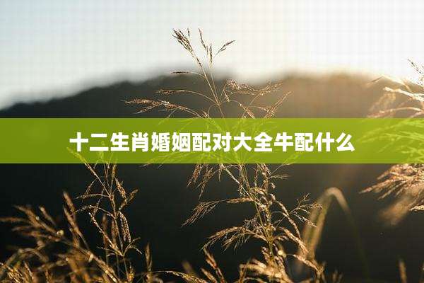 十二生肖婚姻配对大全牛配什么