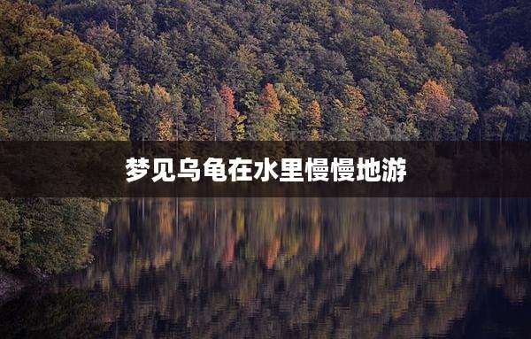 梦见乌龟在水里慢慢地游