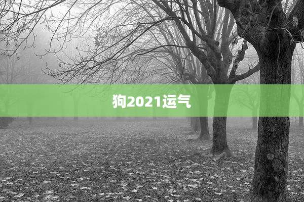 狗2021运气