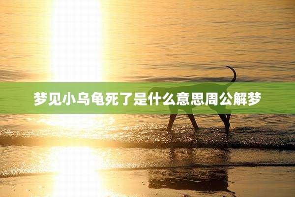 梦见小乌龟死了是什么意思周公解梦