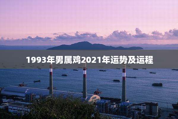 1993年男属鸡2021年运势及运程