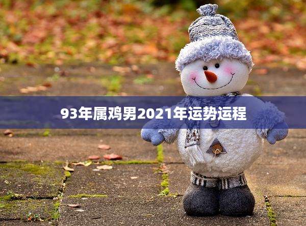93年属鸡男2021年运势运程