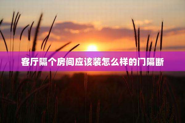 客厅隔个房间应该装怎么样的门隔断