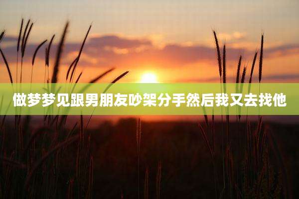 做梦梦见跟男朋友吵架分手然后我又去找他