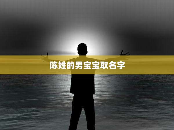 陈姓的男宝宝取名字