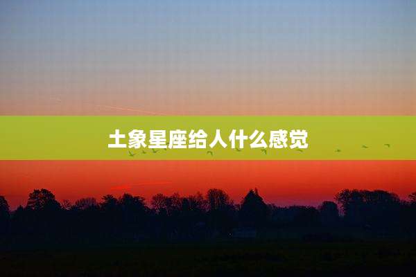 土象星座给人什么感觉
