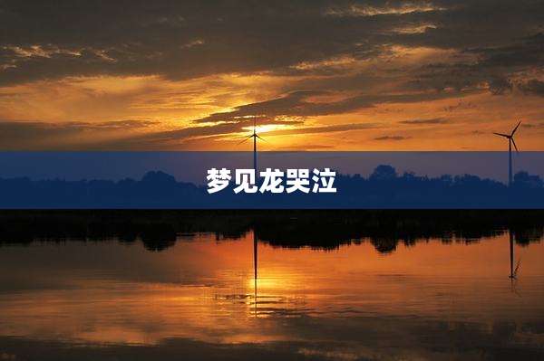 梦见龙哭泣
