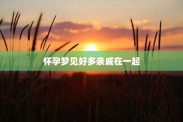 怀孕梦见好多亲戚在一起