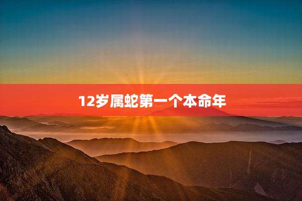 12岁属蛇第一个本命年