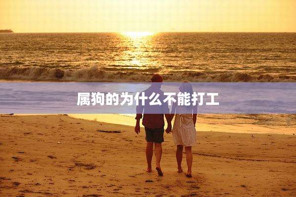 属狗的为什么不能打工