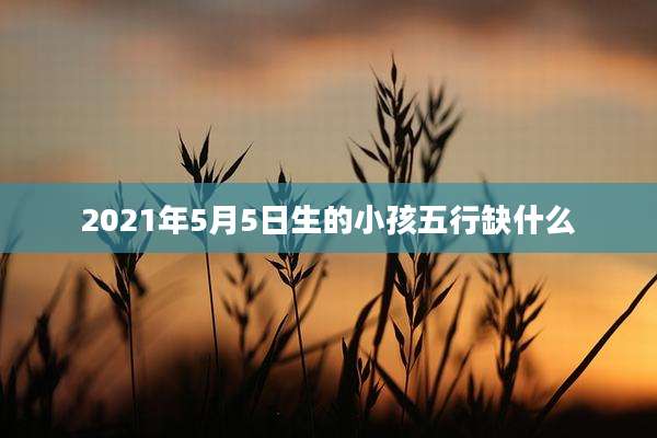 2021年5月5日生的小孩五行缺什么