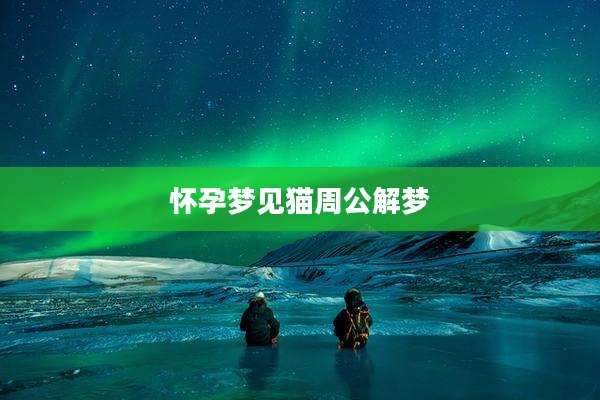 怀孕梦见猫周公解梦