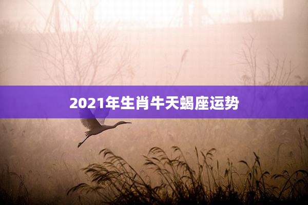 2021年生肖牛天蝎座运势