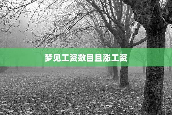 梦见工资数目且涨工资