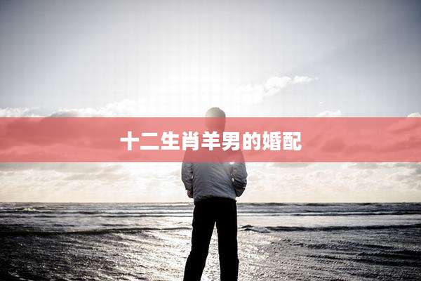 十二生肖羊男的婚配