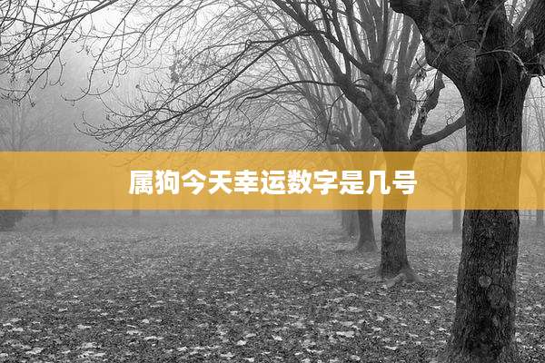 属狗今天幸运数字是几号