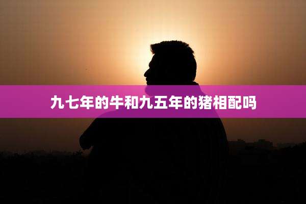 九七年的牛和九五年的猪相配吗