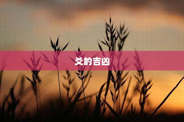 爻的吉凶