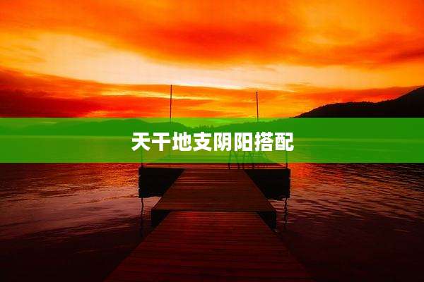 天干地支阴阳搭配