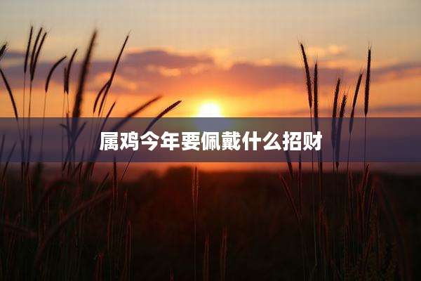 属鸡今年要佩戴什么招财