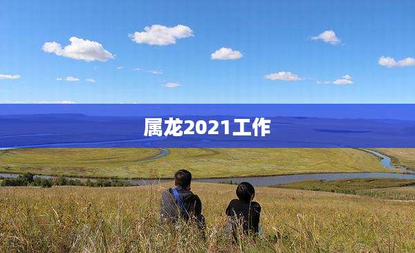 属龙2021工作