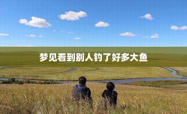 梦见看到别人钓了好多大鱼