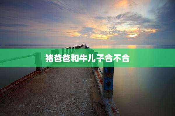 猪爸爸和牛儿子合不合