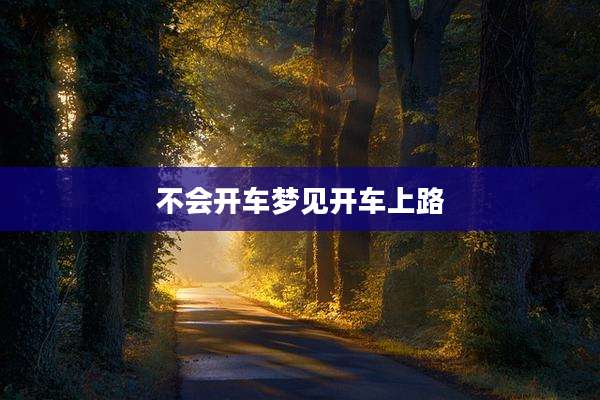 不会开车梦见开车上路