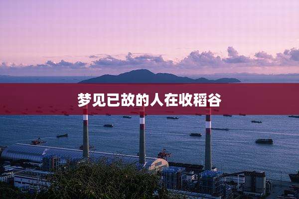 梦见已故的人在收稻谷