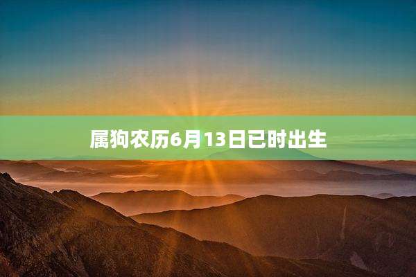 属狗农历6月13日已时出生
