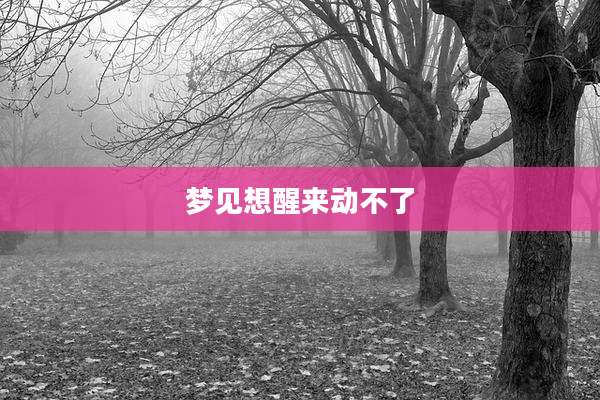 梦见想醒来动不了