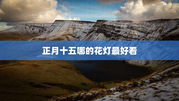 正月十五哪的花灯最好看