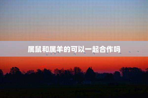 属鼠和属羊的可以一起合作吗