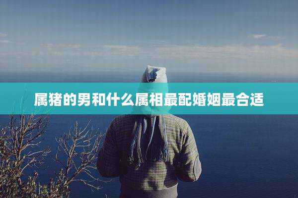 属猪的男和什么属相最配婚姻最合适