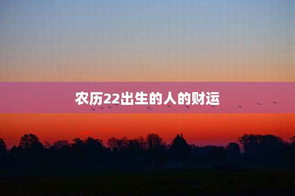 农历22出生的人的财运