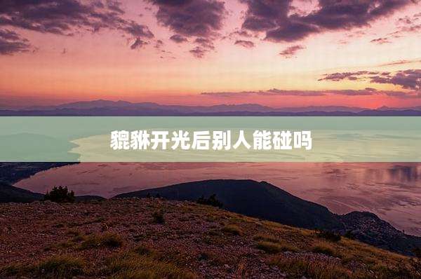 貔貅开光后别人能碰吗