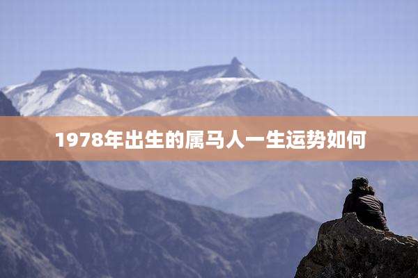 1978年出生的属马人一生运势如何