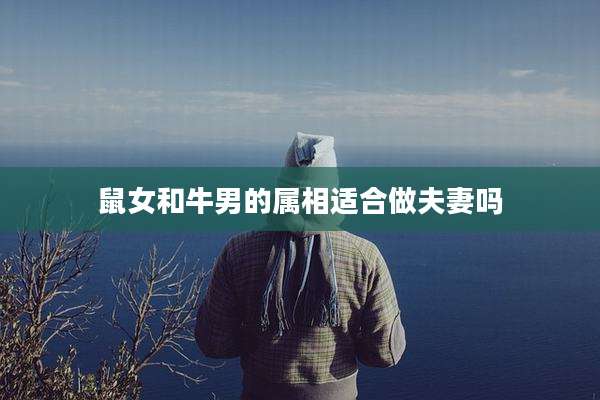 鼠女和牛男的属相适合做夫妻吗