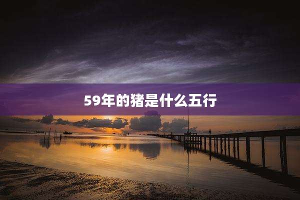 59年的猪是什么五行