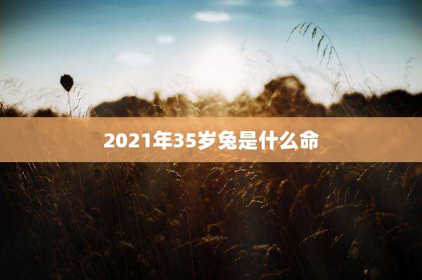 2021年35岁兔是什么命