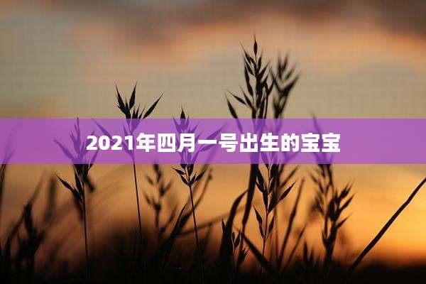 2021年四月一号出生的宝宝