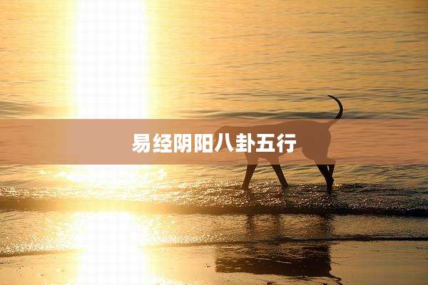 易经阴阳八卦五行