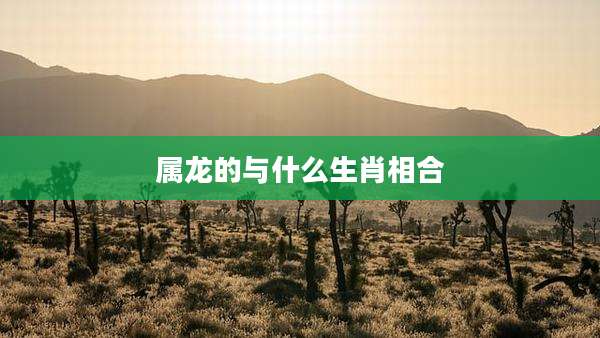 属龙的与什么生肖相合