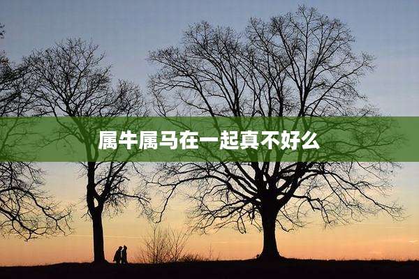 属牛属马在一起真不好么