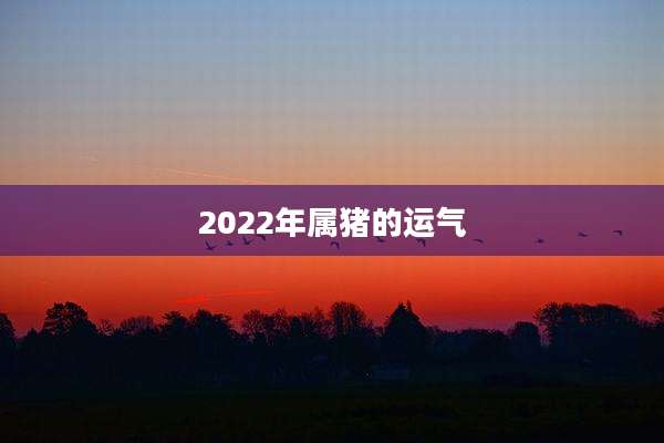 2022年属猪的运气