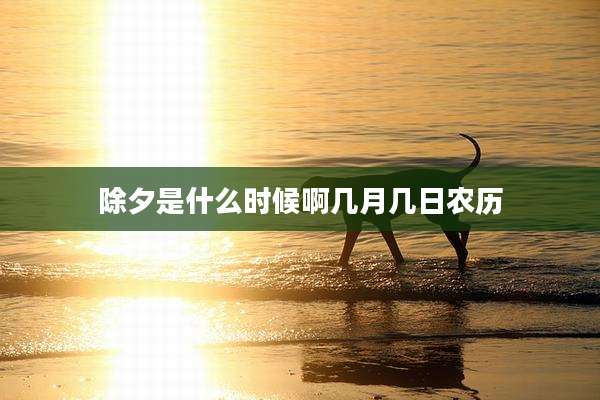 除夕是什么时候啊几月几日农历